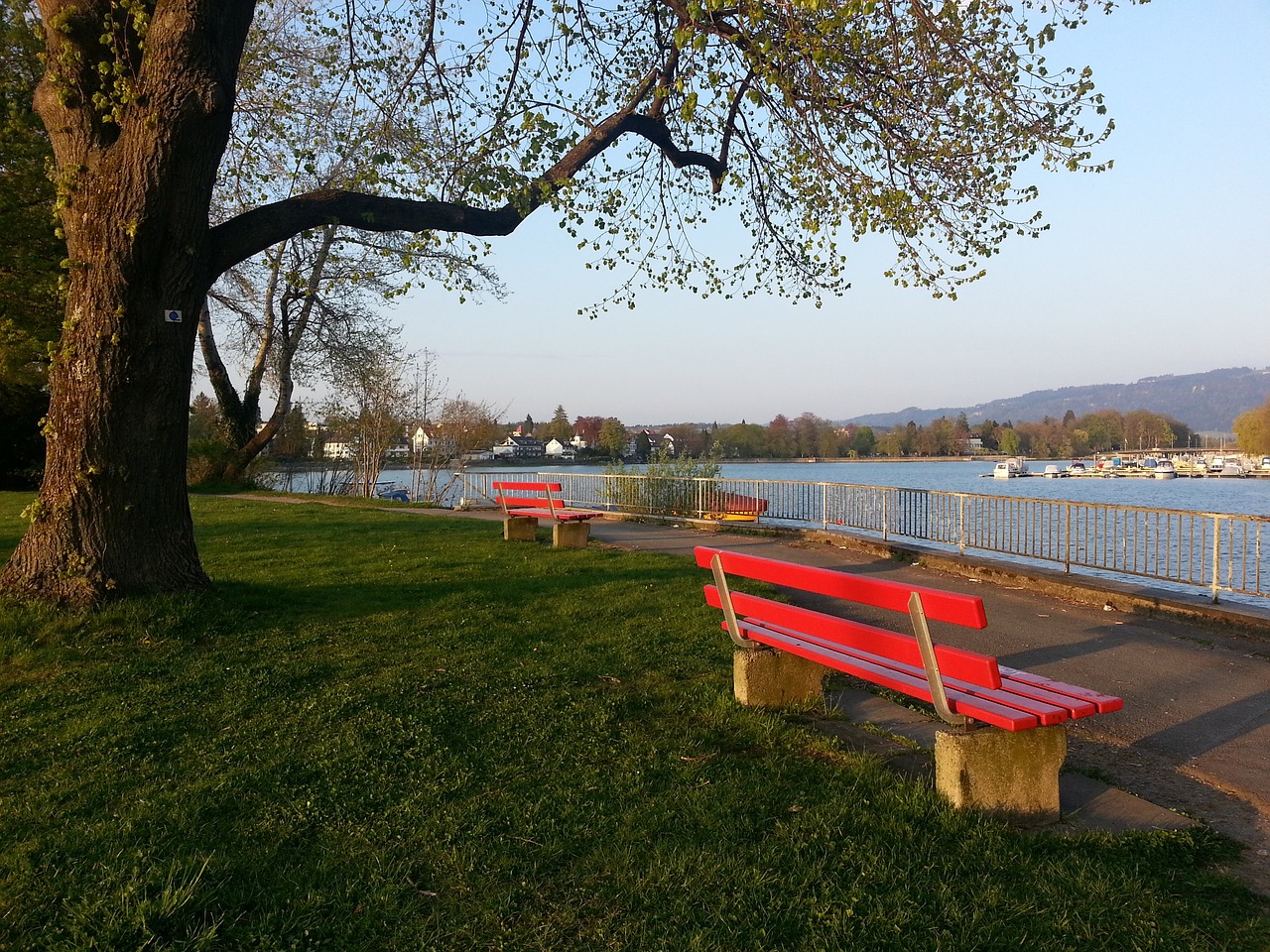 这个名字代 这个名字代