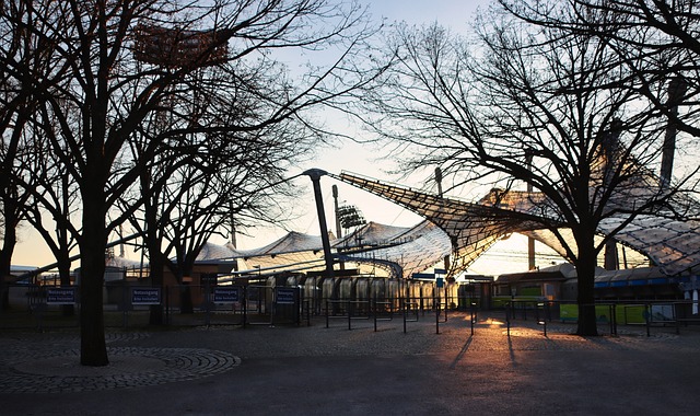 了意想不到 了意想不到