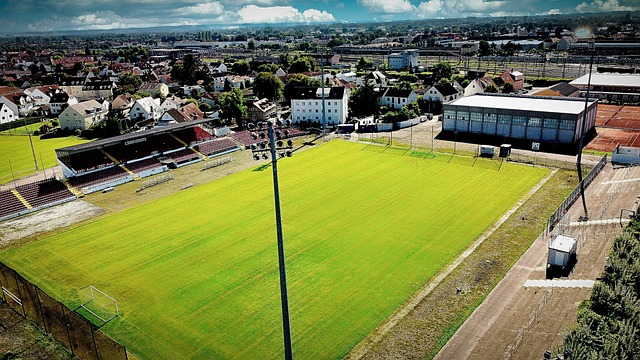 團隊管理中 團隊管理中